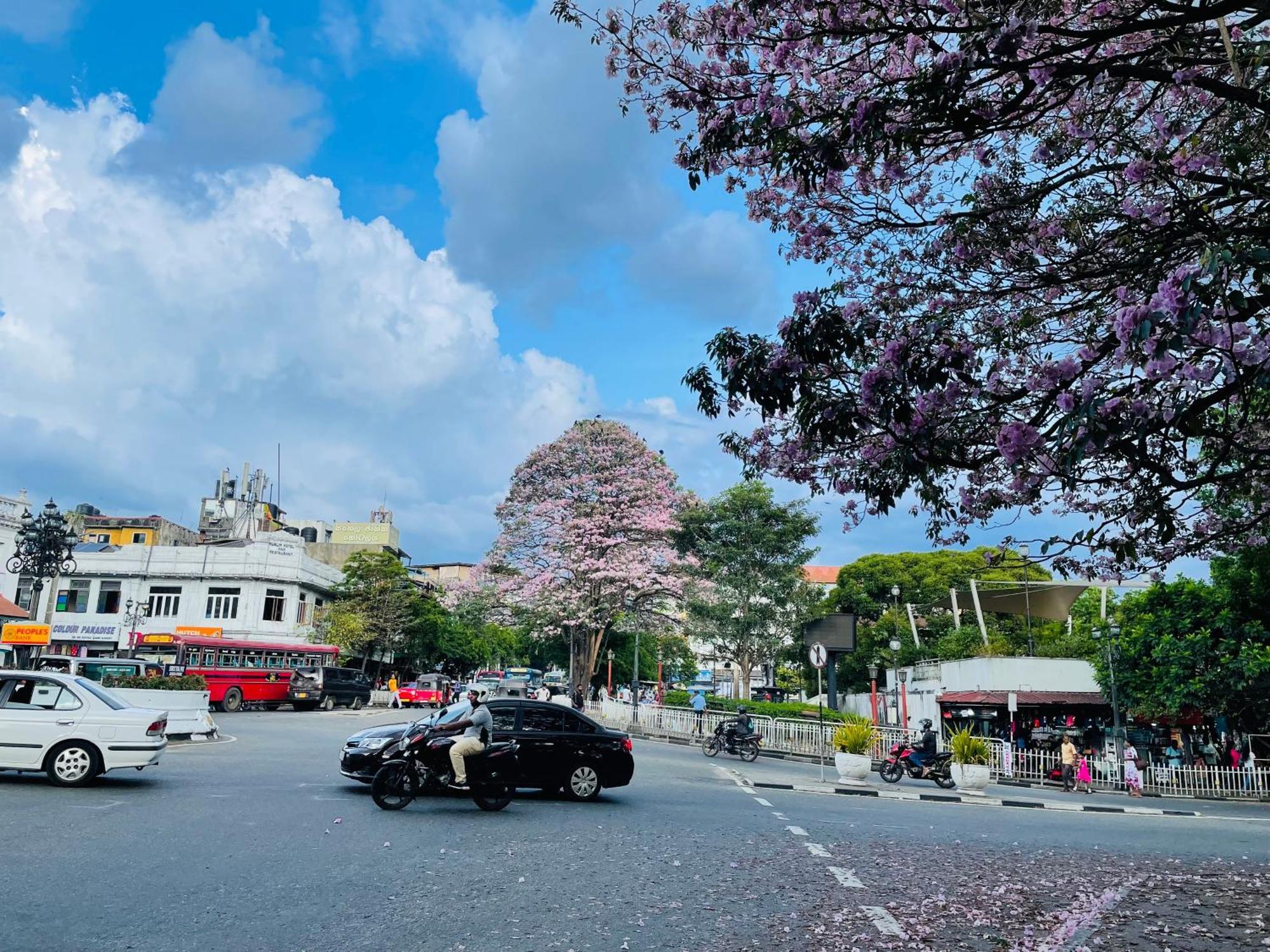 中国蒲公英民宿dandelion Guest House Villa With Mount View Kandy Bagian luar foto