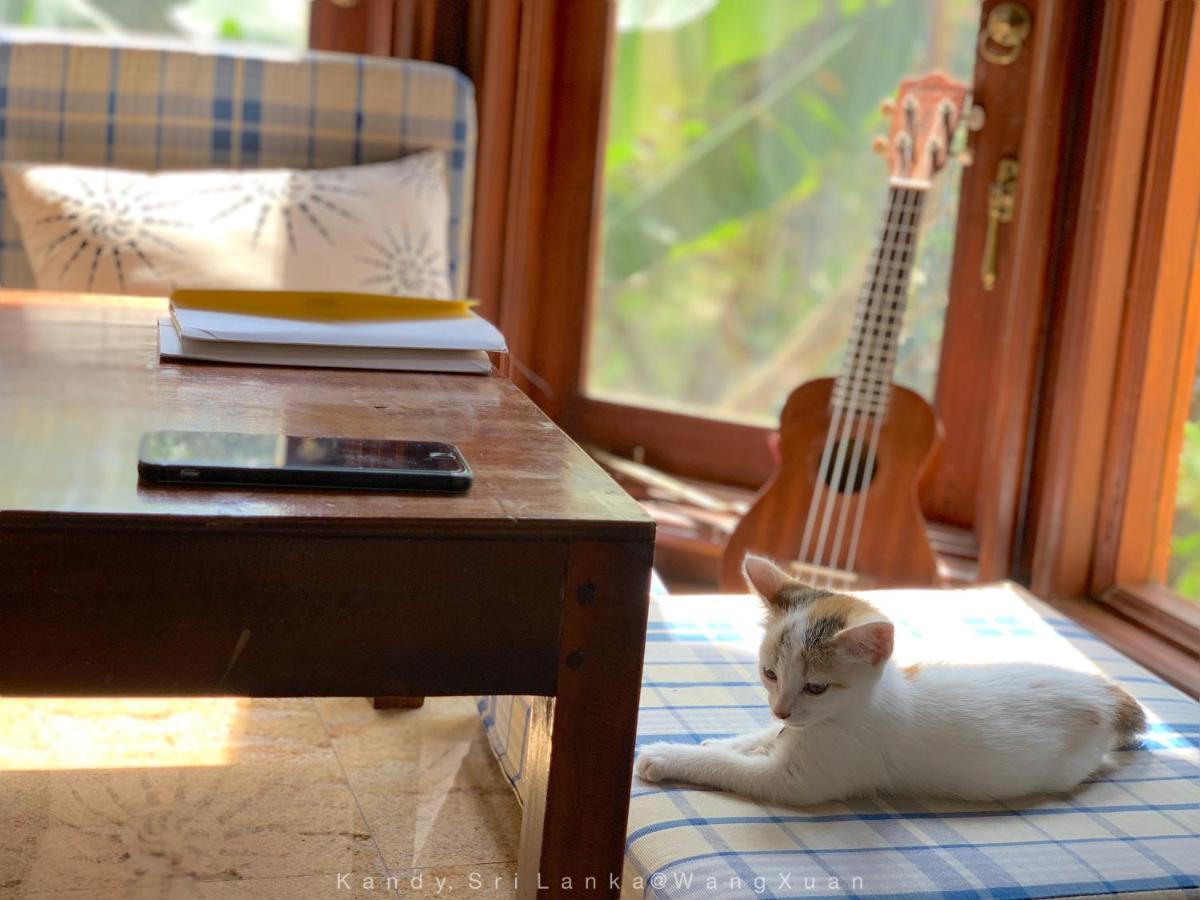 中国蒲公英民宿dandelion Guest House Villa With Mount View Kandy Bagian luar foto